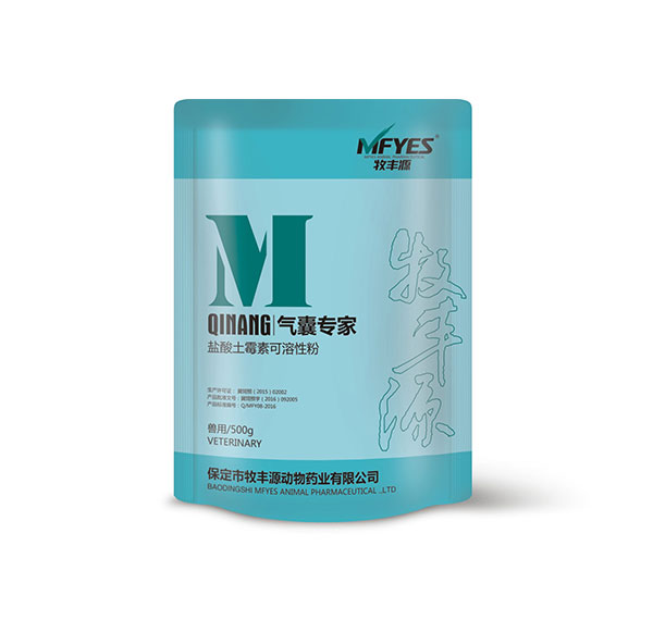 氣囊專(zhuān)家